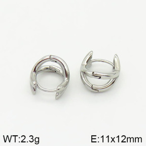 Stainless Steel Earrings  2E2001596vhha-379