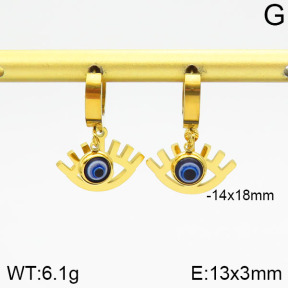 Stainless Steel Earrings  2E3001130vbnl-669