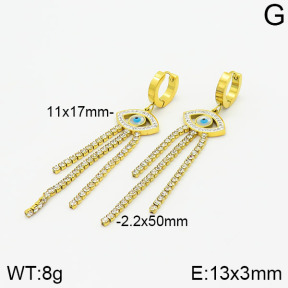 Stainless Steel Earrings  2E4002004bhia-669