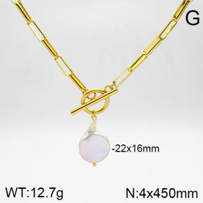 Stainless Steel Necklace  2N3000992vhnv-741