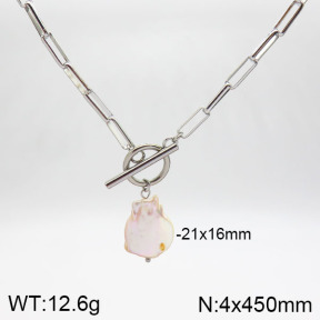 Stainless Steel Necklace  2N3000993ahlv-741