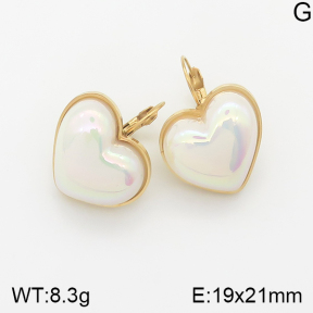 Stainless Steel Earrings  5E3000594abol-669