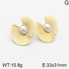 Stainless Steel Earrings  5E3000597vhkl-669