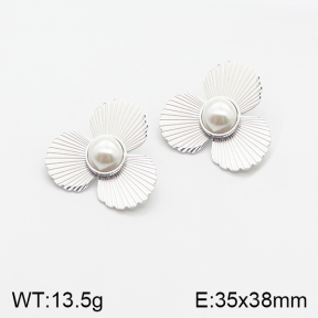 Stainless Steel Earrings  5E3000600vhkl-669