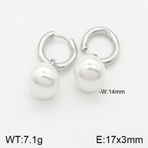Stainless Steel Earrings  5E3000602vhhl-669