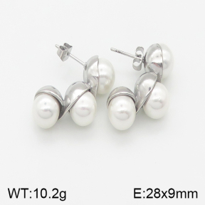 Stainless Steel Earrings  5E3000604ahlv-669