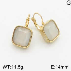 Stainless Steel Earrings  5E4001557ahjb-669