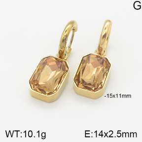 Stainless Steel Earrings  5E4001561ahjb-669