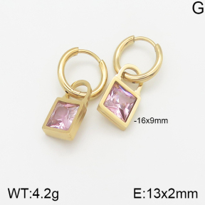 Stainless Steel Earrings  5E4001567vhhl-669