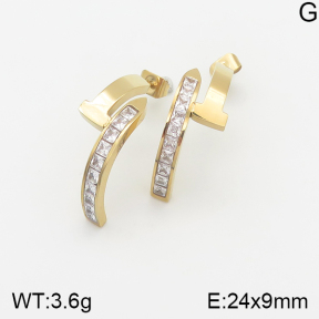 Stainless Steel Earrings  5E4001568bhil-669