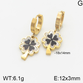 Stainless Steel Earrings  5E4001574abol-669