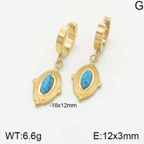 Stainless Steel Earrings  5E4001582vbnl-669