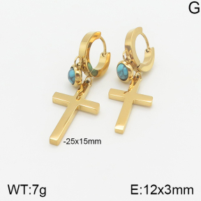 Stainless Steel Earrings  5E4001583vbnb-669