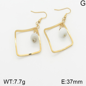 Stainless Steel Earrings  5E4001590ablb-212