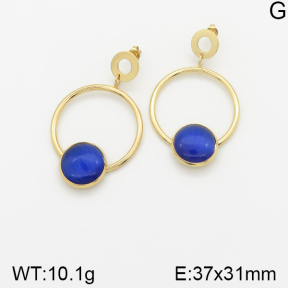 Stainless Steel Earrings  5E4001591ablb-212