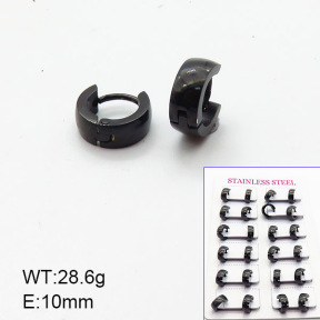 Stainless Steel Earrings  6E2006177alka-387