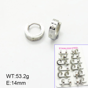 Stainless Steel Earrings  6E2006179akia-387