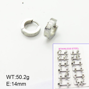 Stainless Steel Earrings  6E2006180akia-387