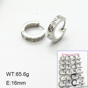 Stainless Steel Earrings  6E2006182akoa-387