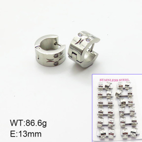 Stainless Steel Earrings  6E4003710alka-387