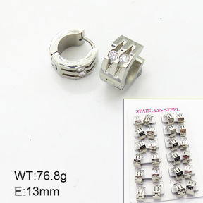 Stainless Steel Earrings  6E4003712alka-387