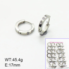 Stainless Steel Earrings  6E4003713amaa-387