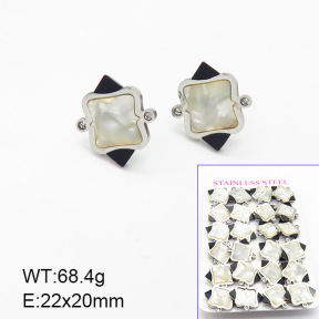 Stainless Steel Earrings  6E4003717hbob-722