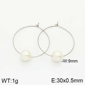 Stainless Steel Earrings  2E3001135avja-256