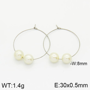 Stainless Steel Earrings  2E3001136baka-256