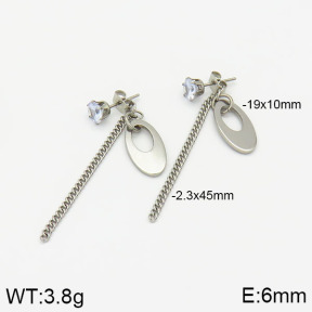Stainless Steel Earrings  2E4002020ablb-256