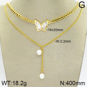 Stainless Steel Necklace  2N3001000vbnb-614