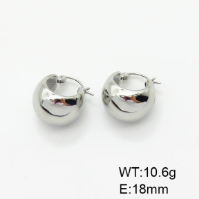 Stainless Steel Earrings  3E2004641bhia-066