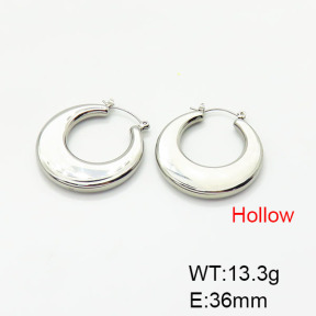 Stainless Steel Earrings  3E2004921vhha-066