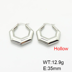 Stainless Steel Earrings  7E2000075bvpl-G034
