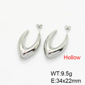Stainless Steel Earrings  7E2000079bvpl-G034