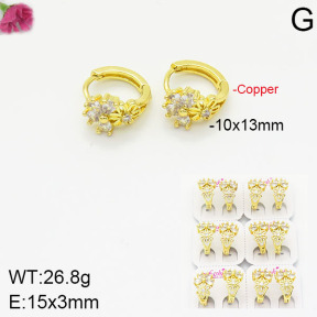 Fashion Copper Earrings  F2E400930ajvb-J22