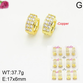 Fashion Copper Earrings  F2E400936ajvb-J22