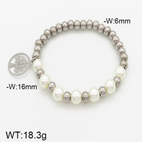 Stainless Steel Bracelet  5B3000977vbnb-741