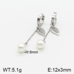Stainless Steel Earrings  5E3000773ablb-434