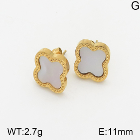Stainless Steel Earrings  5E4001704vbnl-743