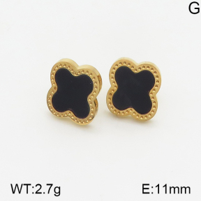 Stainless Steel Earrings  5E4001706vbnl-743