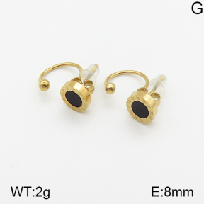 Stainless Steel Earrings  5E4001713vbnl-743