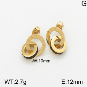 Stainless Steel Earrings  5E4001716vhha-743