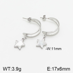 Stainless Steel Earrings  5E4001718vbll-434