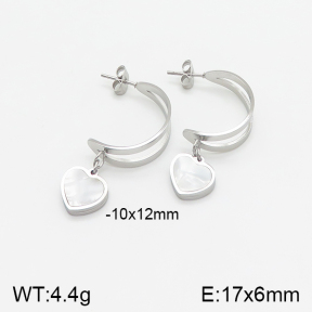 Stainless Steel Earrings  5E4001721vbll-434