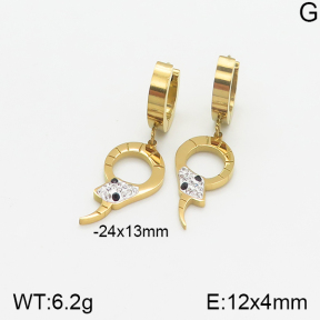 Stainless Steel Earrings  5E4001722vbnl-434