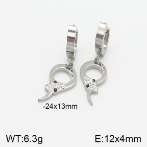 Stainless Steel Earrings  5E4001723vbnb-434