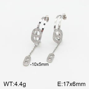 Stainless Steel Earrings  5E4001725vbnb-434