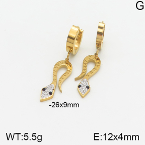 Stainless Steel Earrings  5E4001726vbnl-434