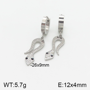 Stainless Steel Earrings  5E4001727vbnb-434